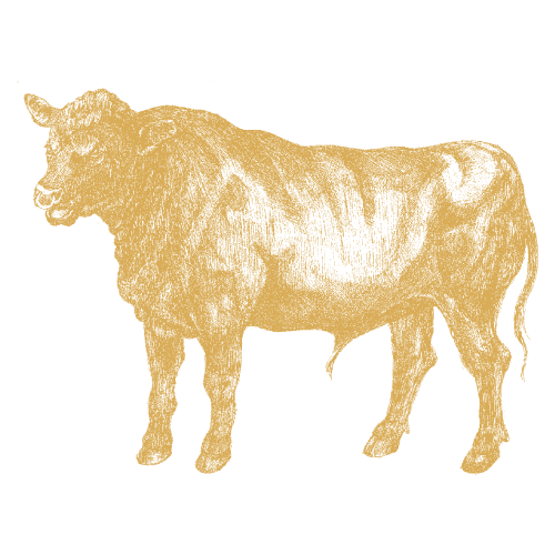 Oxkött