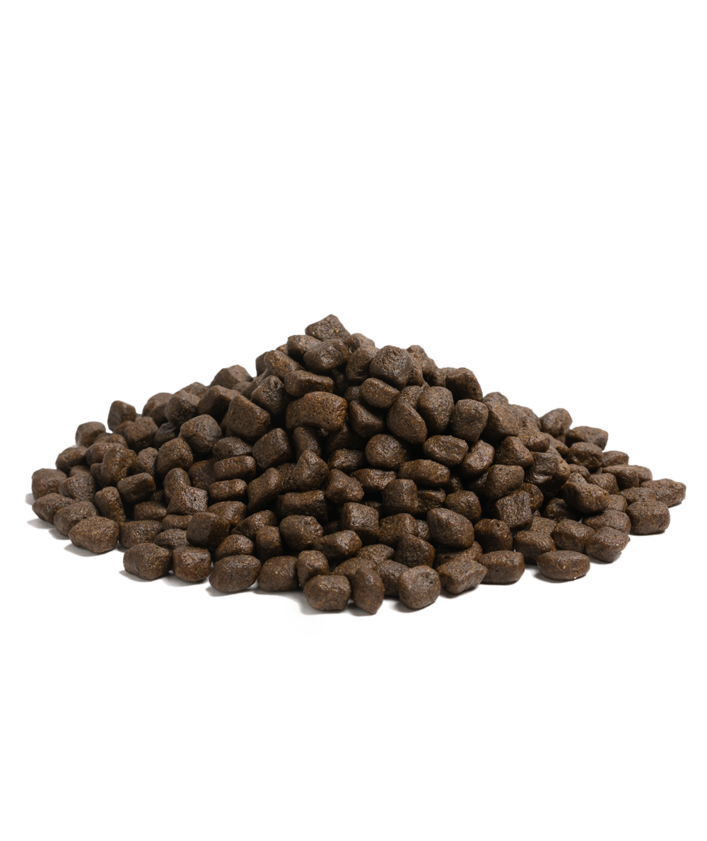 OUR FINEST NAUTICAL LIVING, 2.5KG