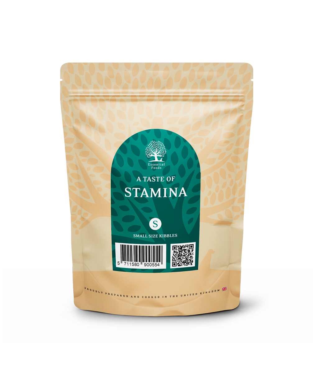 STAMINA SAMPLE