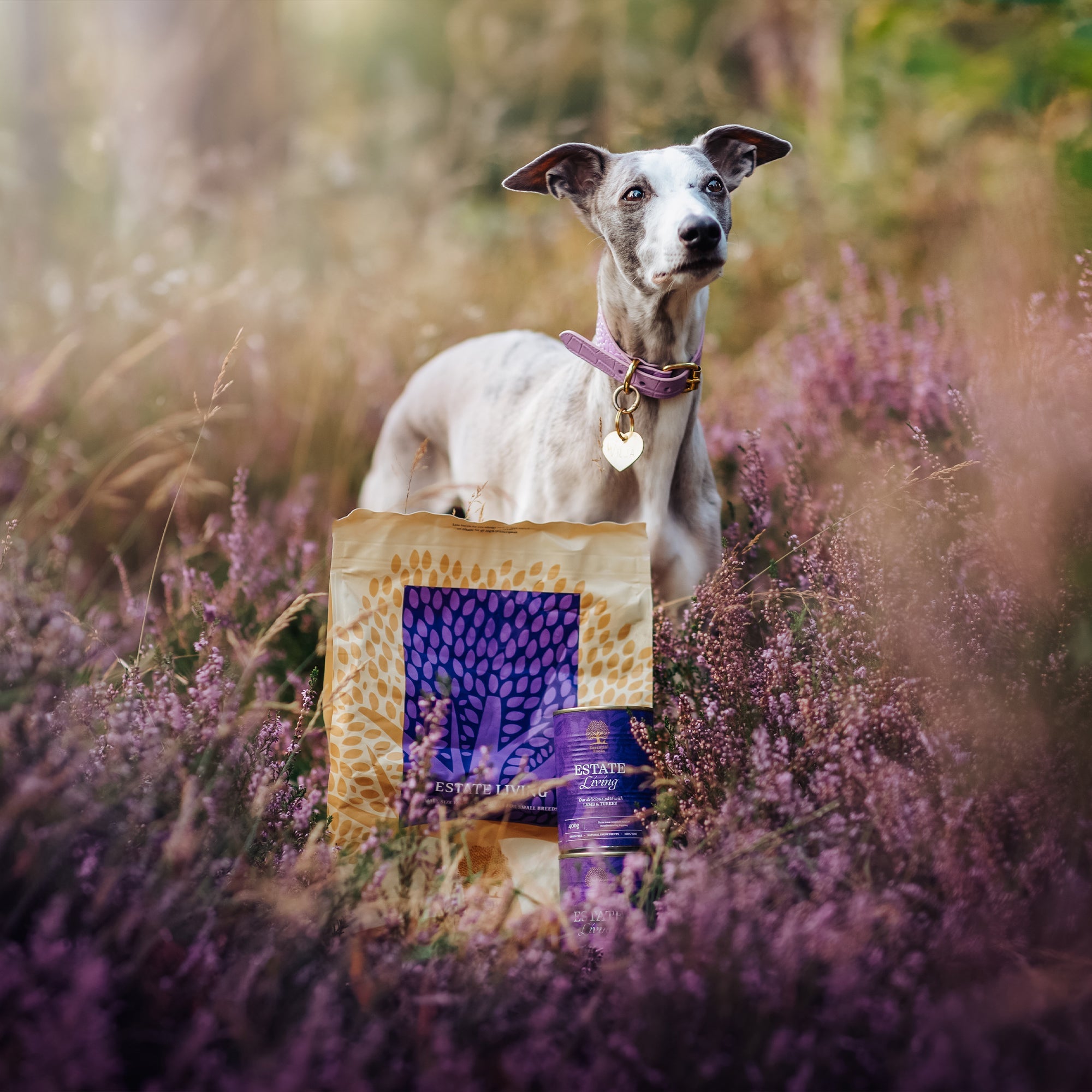 OUR FINEST ESTATE LIVING, 2.5KG