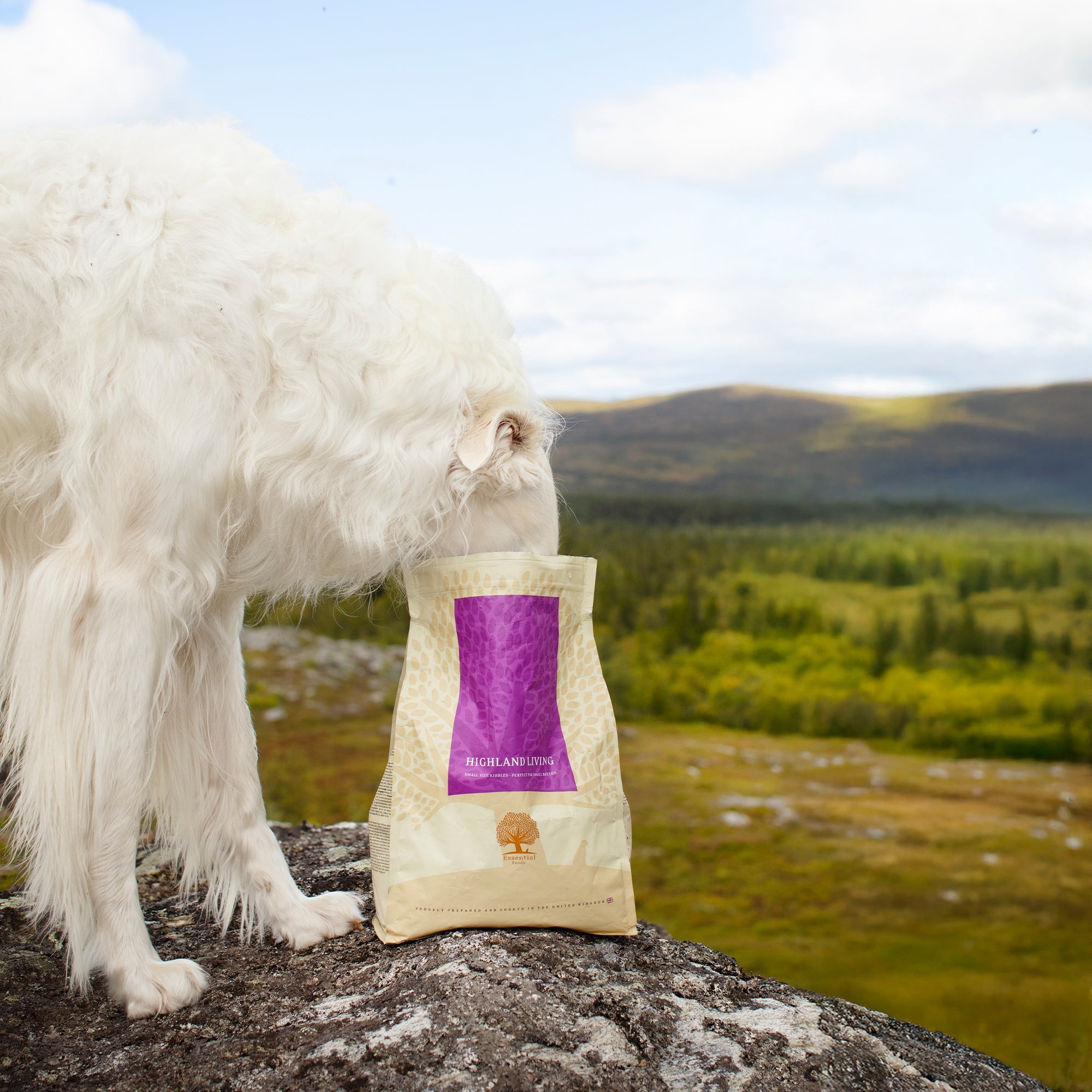 OUR FINEST HIGHLAND LIVING, 2.5KG