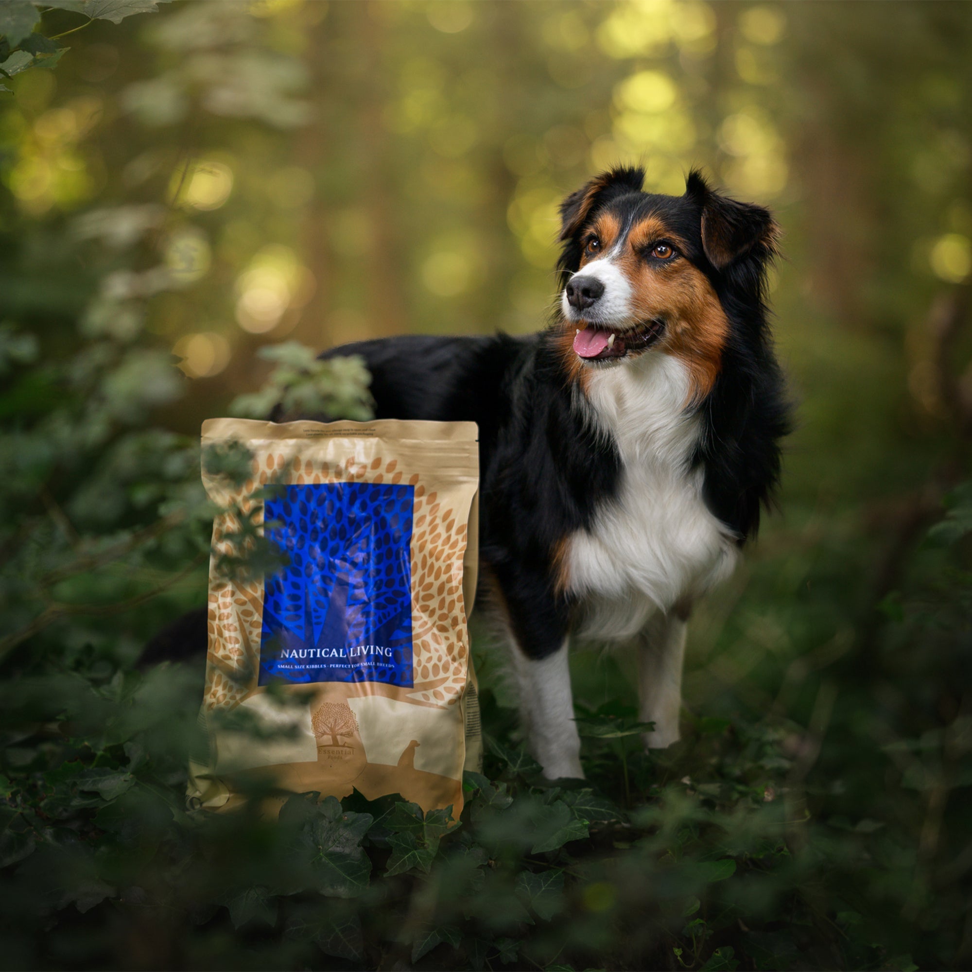 OUR FINEST NAUTICAL LIVING, 2.5KG