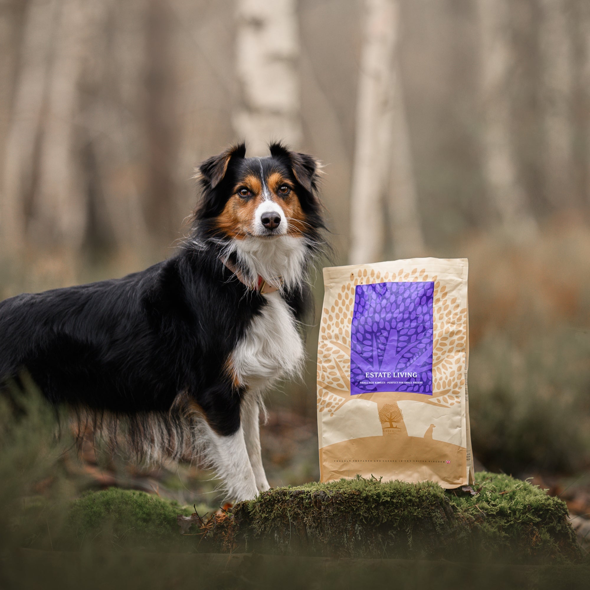 ESTATE LIVING, 2.5KG