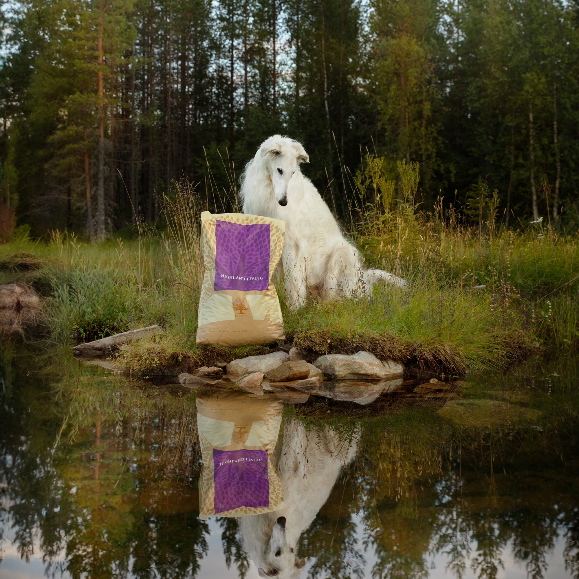 OUR FINEST HIGHLAND LIVING, 10KG